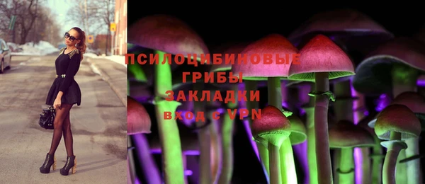 крисы Дмитриев