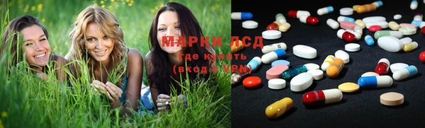 крисы Дмитриев