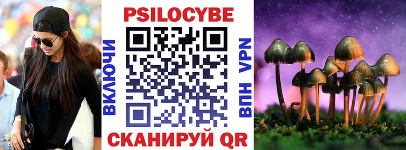 Галлюциногенные грибы Psilocybine cubensis  Чебаркуль 