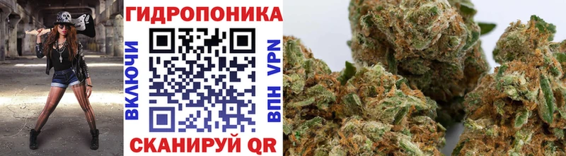 Конопля ГИДРОПОН  Чебаркуль 